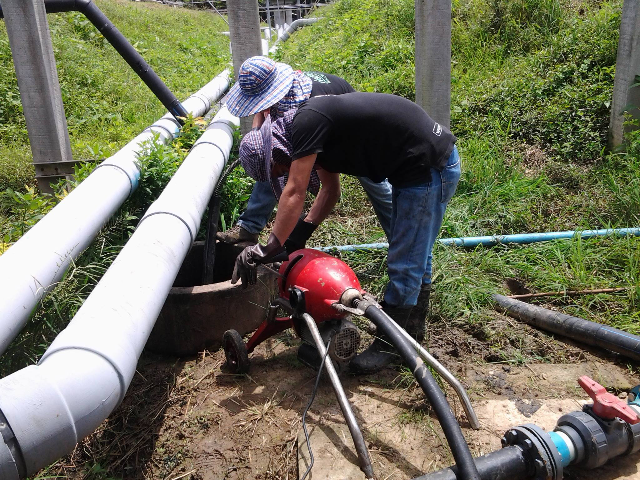 1093719_177256805790681_150052925_o